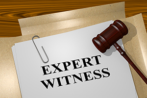 Expert Witnesses