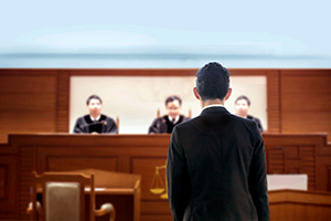 Self-Represented Litigants and Trial Preparation